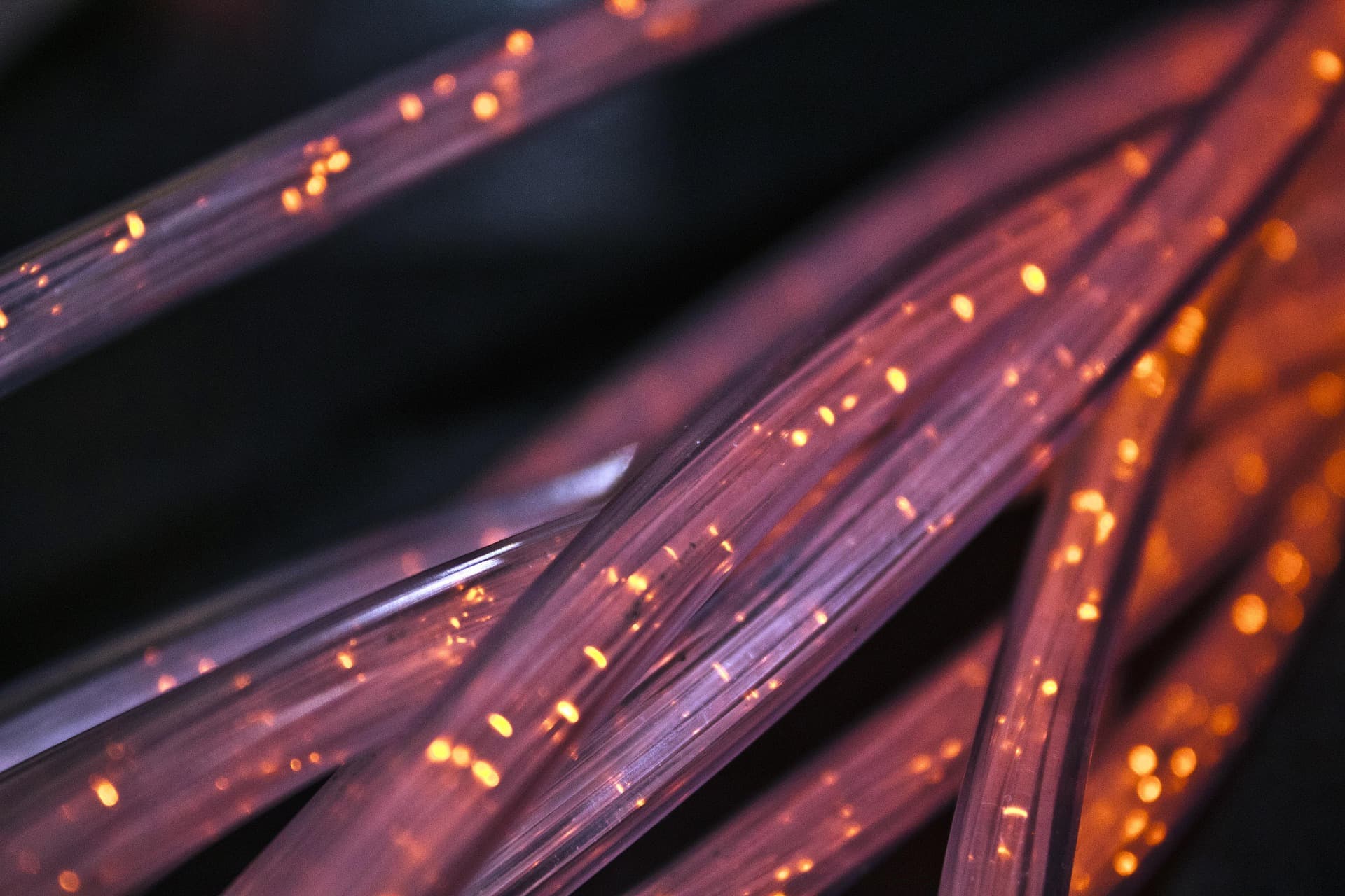 Secure network infrastructure